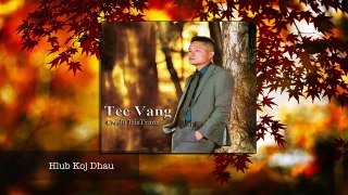 Tee Vang 