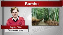 Ergün Diler : Bambu