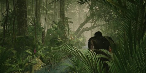 ANCESTORS - The Humankind Odyssey (Assassin's Creed Creators)