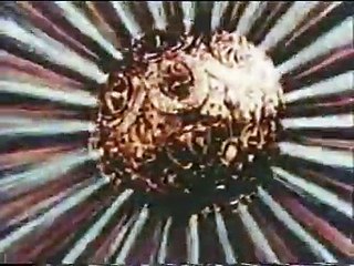 Greedy Humpty Dumpty