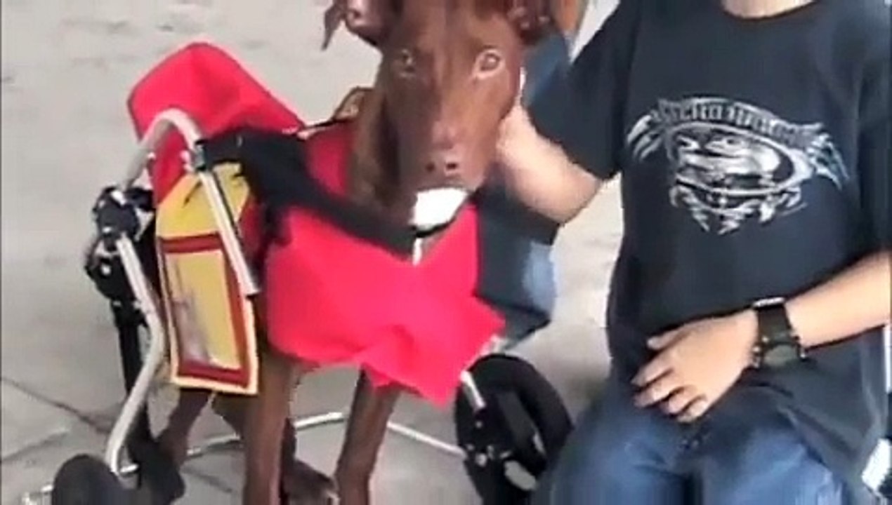 Kermit