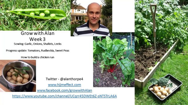 Ep. 3 - How to sow garlic, onions, shallots, leeks plus how to build a chicken run