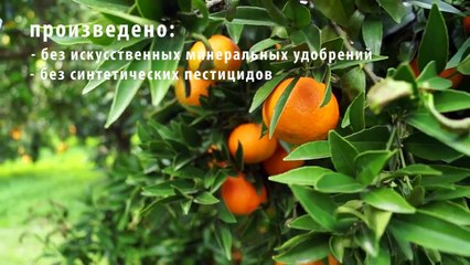 Как производят органик продукты? Экоблог Анны Тятте.