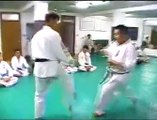 kyokushin vs hapkido