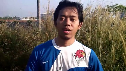 Ternak Kelinci - Tips Ternak Kelinci Pemula Wajib Nonton