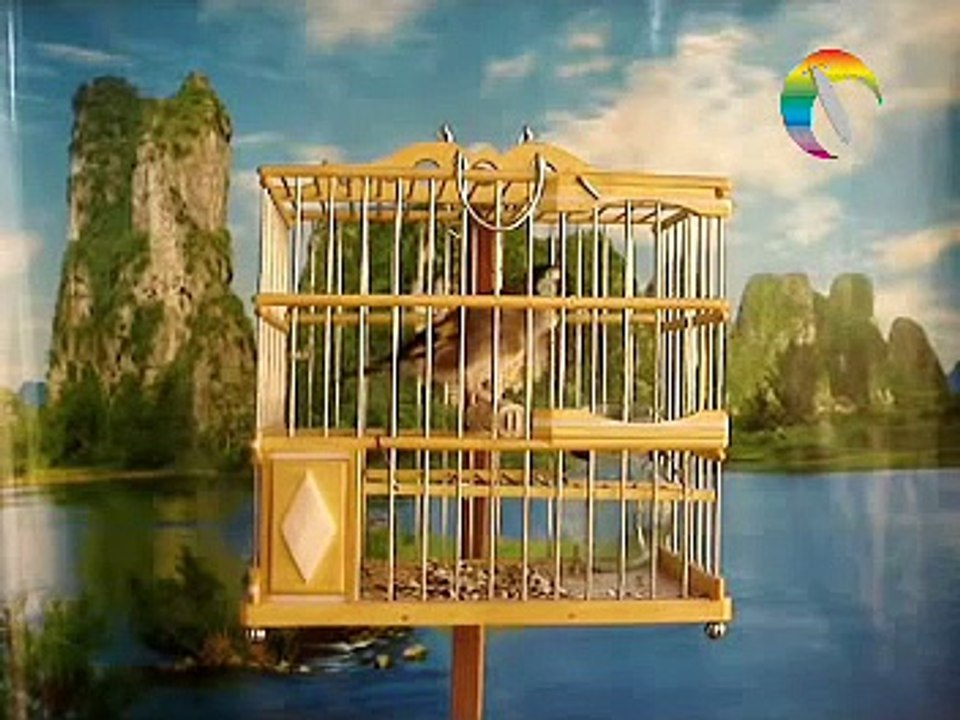 jilguero de touilila khalid  casablanca