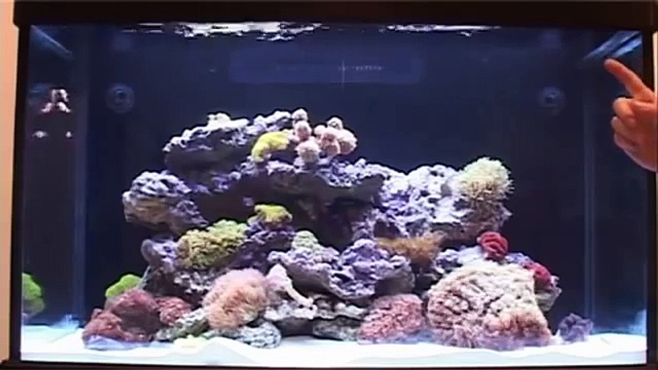Red Sea MAX C-Series