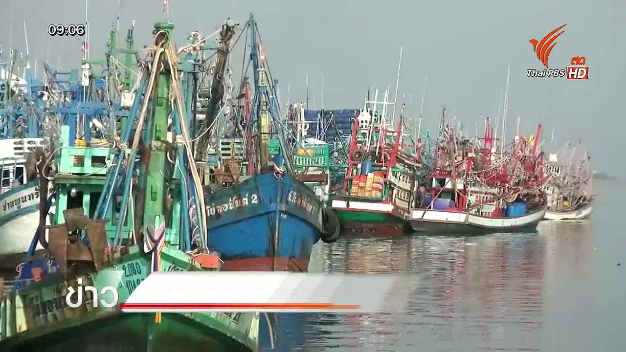 ทันข่าว Thai PBS : 1 ก.ค. 58 (1/2)