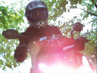 Till minne av Nichlas Frisk