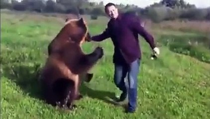 Wow Very Talented Russian Bear