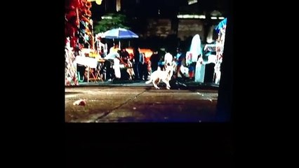 Beverly Hills Chihuahua I Need A Hero