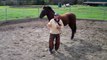 Using a Whip on a Horse- Pressure Release- Sacking Out- Desensitizing- Rick Gore Horsemanship