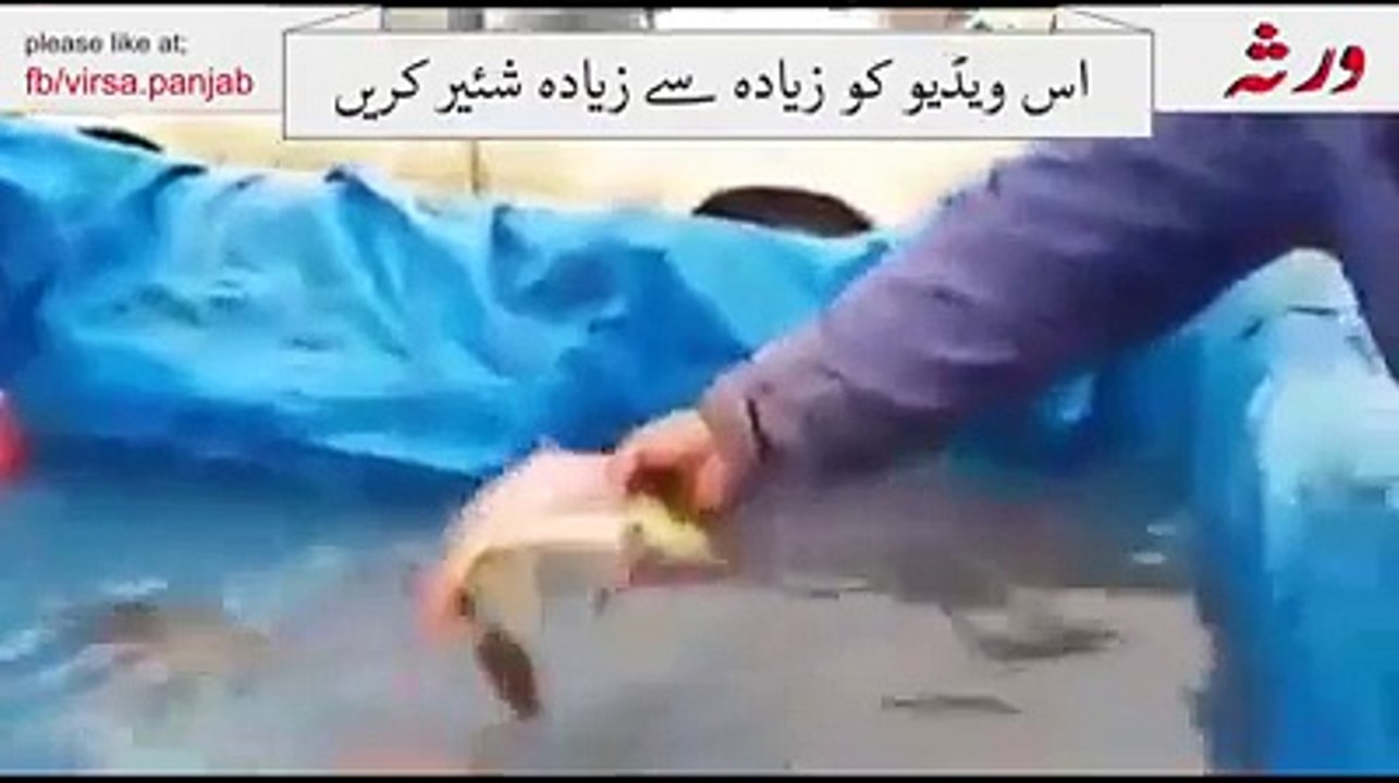 meriacle of ALLAH