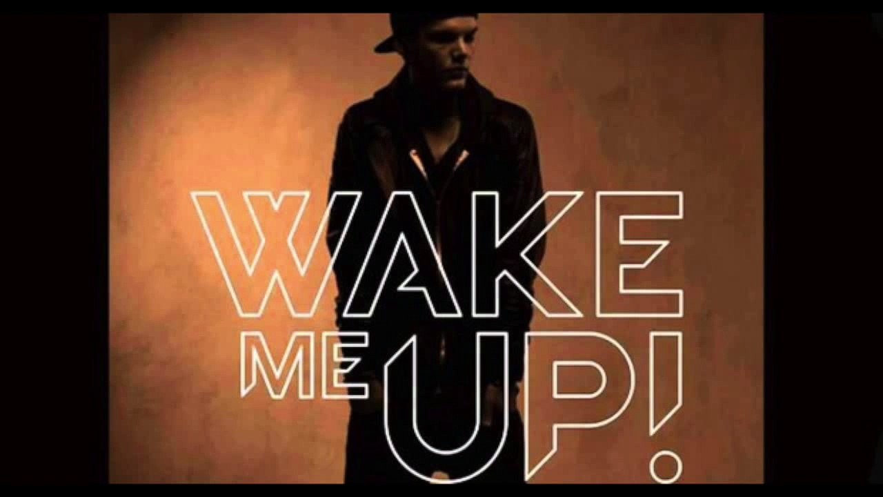 Avicii - Wake Me Up Backing Track Acoustic Guitar #Edgerton School District