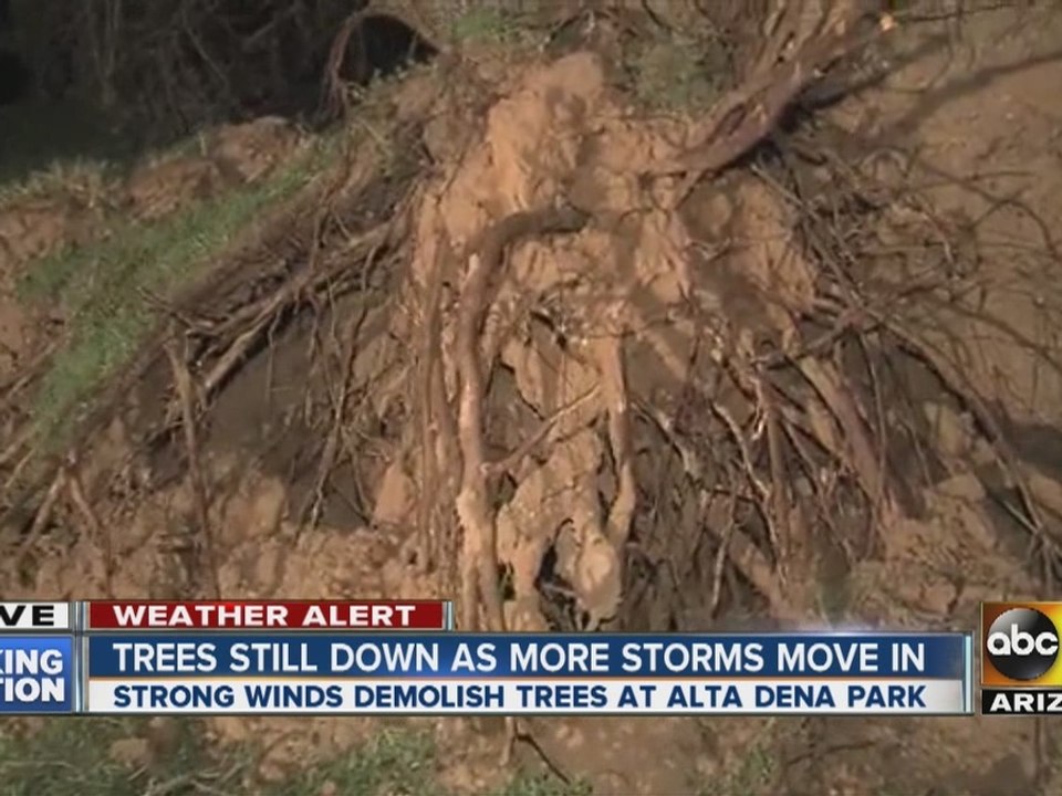 Trees down as more storms move into the Valley