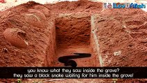 Real Video of Snakes in Grave. Astagfirullah