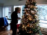 Cat helps to take down Christmas Tree