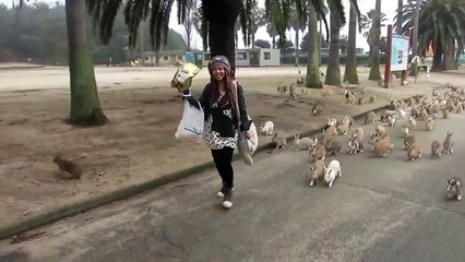 Girl Feeding Gang of Rabbits