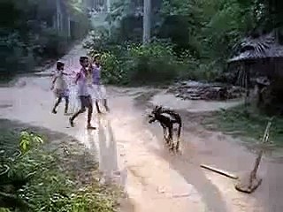 Ab To Saale Kutte Bhi Cricket Khelne Lage