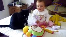 Funny cats and babies playing together   Cute cat   baby compilation