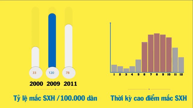 Soffell 2015 - Cách phòng ngừa bệnh sốt xuất huyết hiệu quả