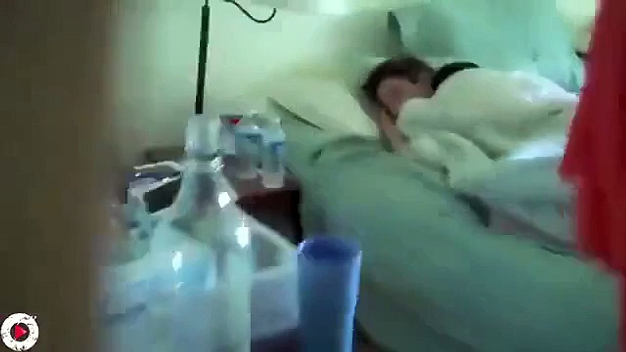 Very Funny Moments You will not stop laughing - Video Dailymotion