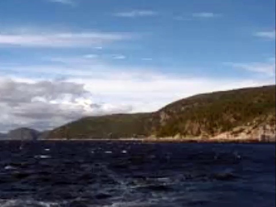 Arrêt sur image