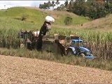 sugar cane harvester in australia