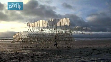Des créatures étonnantes se déplacent seules à l'aide du vent !