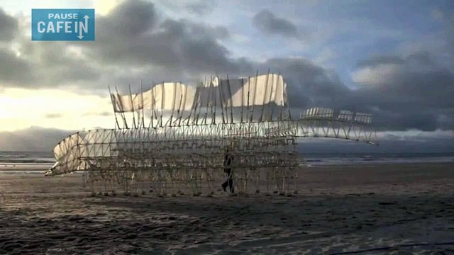 Des créatures étonnantes se déplacent seules à l'aide du vent !