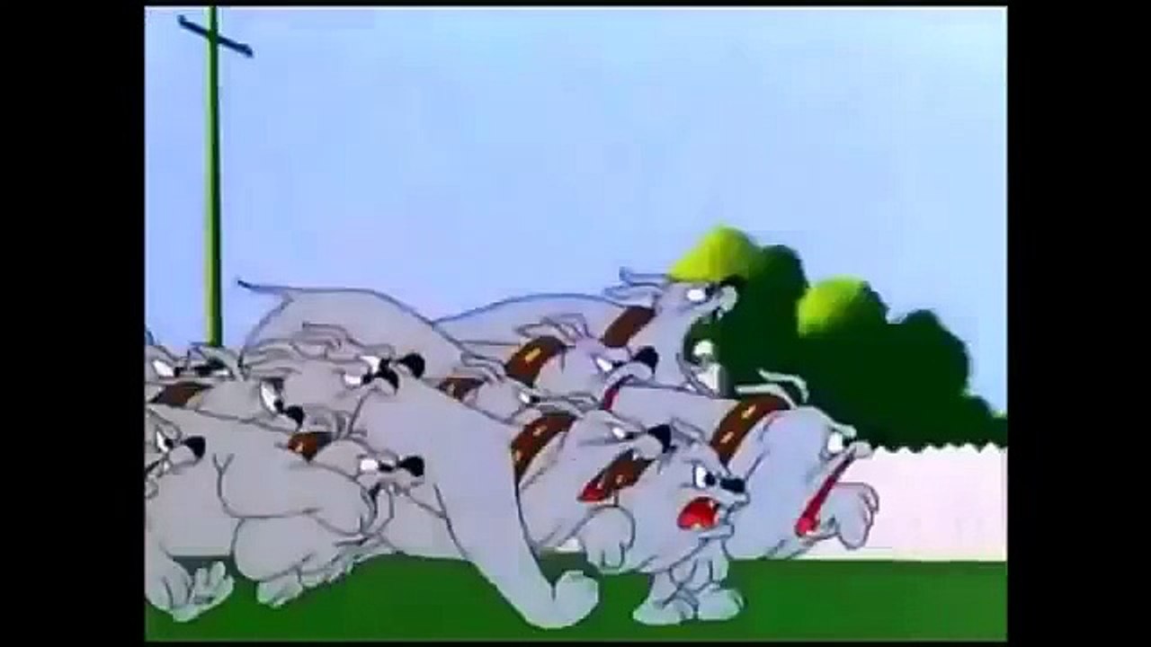 Looney Tunes-Sylvester's Futile Attempt in Front of Bulldogs