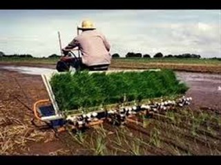 Chawal oganay wali mashin | Funny Video