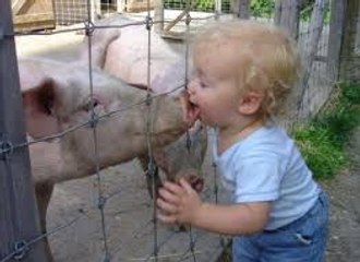 Funny Carton | Carton Video | Funny Video