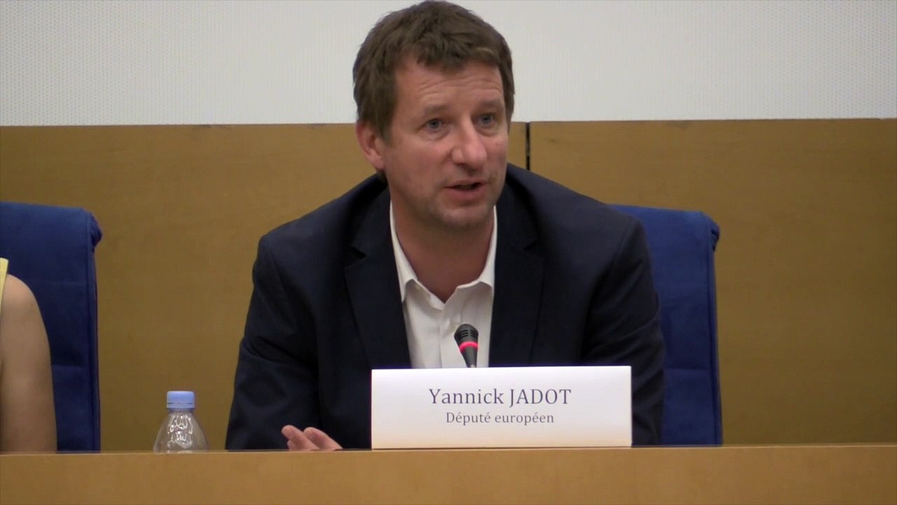 Débat TTIP : conclusion par Yannick Jadot