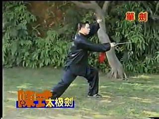 陳式四十九單劍  (陳二虎) Chen Style TaiJi sword Chan ErHu