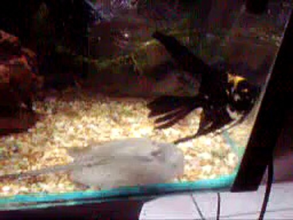 nbmb n nbbv