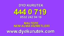 Maltepe Nem Alma ve Kurutma « DYD 444 0 719 » Nem Alma