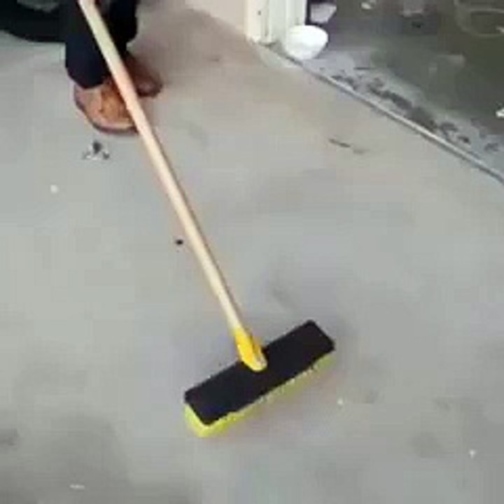 Boy and Cat Funny Dance