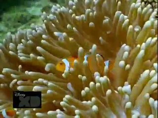 h2o wystarczy kropla sezon 3 odcinek 4 cz 1/3 polski dubbing