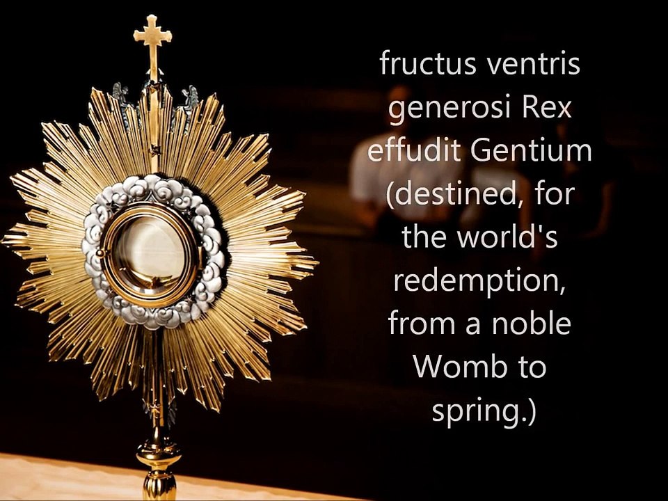 PANGE LINGUA- (Latin to english translation)