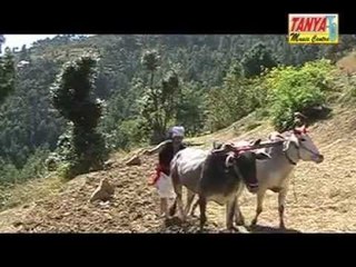 Hal Ra Fera | Himachali Folk Song | Mahendra Rathaur | Tanya Music & Boutique | Himachali Hits