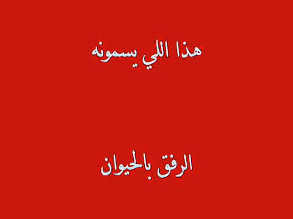 هذا اللي يسمونه الرفق بالحيوان !