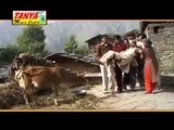 Roshnu Ki Nati | Himachali Pahari Naati Video Song | Kewal Ram Basta | Tanya Music & Boutique