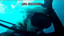 Scuba Diver Girls Dive with Sharks in Cook Islands!!!