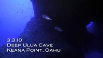 Scuba Diving the Deep Ulua Cave off of Kaena Point, Oahu on 3/3/10