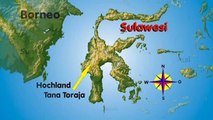Indonesien - Sulawesi - Tana Toraja - Musik in Rantepao