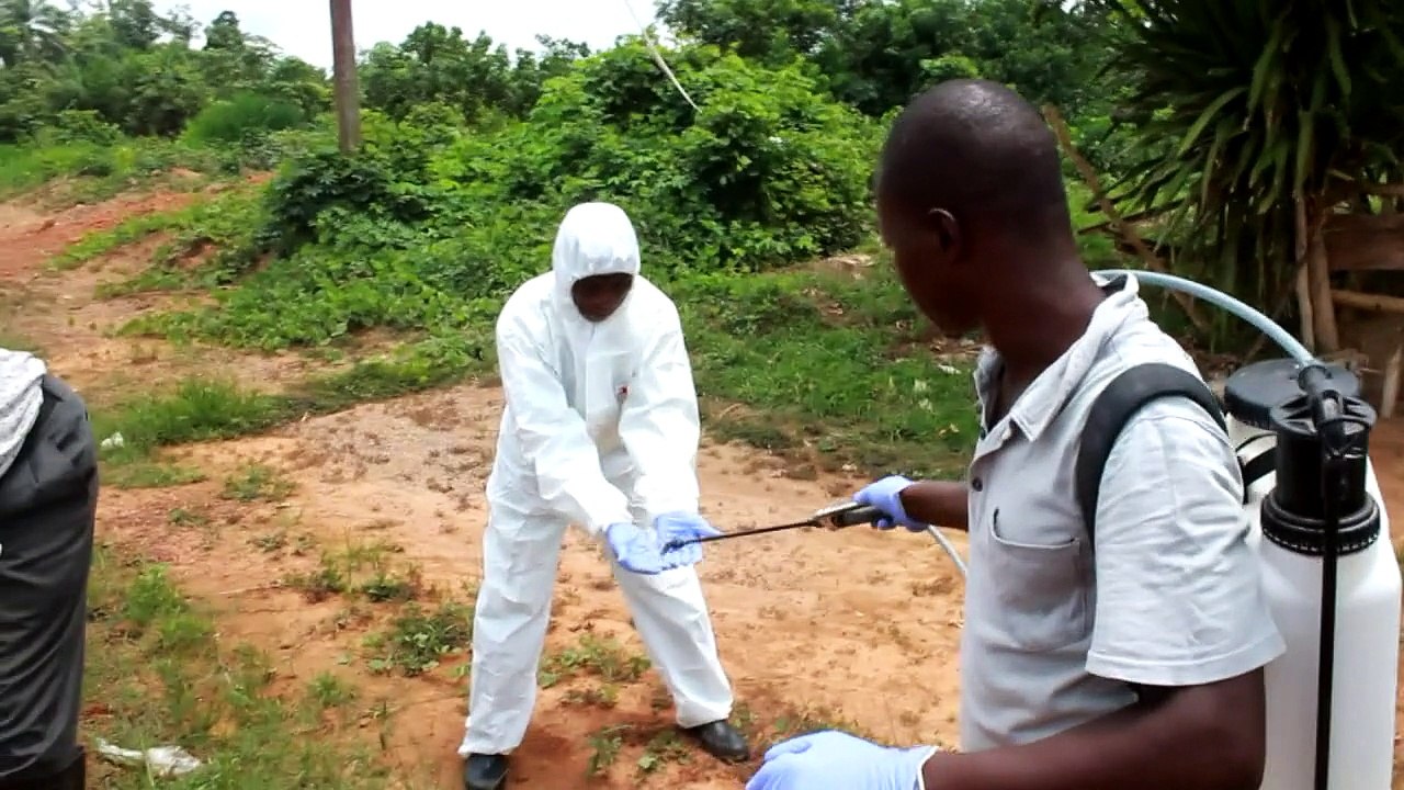 ebola