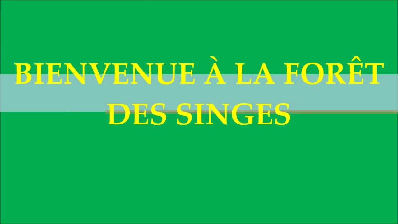 BIENVENUE À LA FORÊT DES SINGES