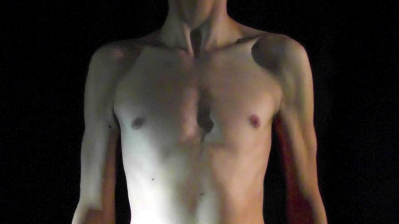 illuminated bodies - an artist - a model - a painting