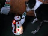 Dog & Dancing Snowman